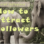 Social influence: 4 tips for building a loyal following from a guy who blew it